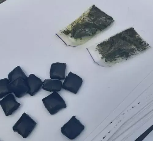 У Змієві поліцейські викрили чоловіка, який зберігав наркотичні засоби