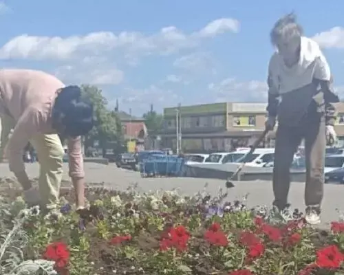 На центральной площади города Змиев продолжаются работы по высадке цветов