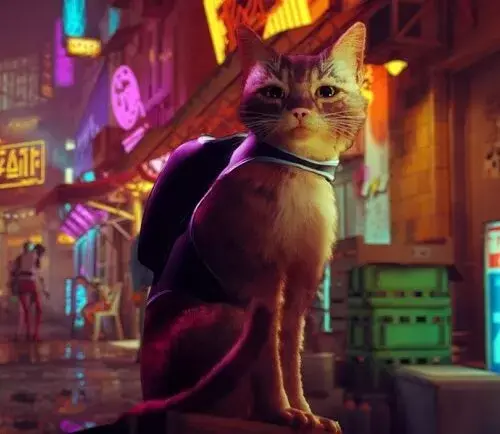 Stray: популярну гру про кота взломали «пірати»