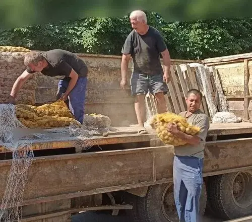 Жителям пенсионного возраста Змиевской общины бесплатно раздают картофель и муку