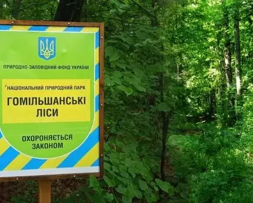 Землі природно парку «Гомільшанські ліси» вартістю 2 млн гривень повернуть державі