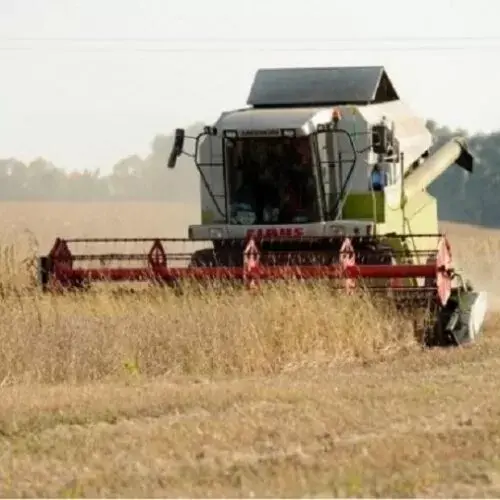 Аграрії Харківщини зібрали зернові на 70% площ під час бойових дій