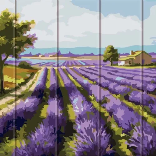 Літо 2026 в стилі slow-living: чому картини за номерами стали головним жіночим хобі сезону