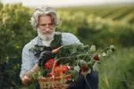 У цій посилці заховане літо: як насіння долає шлях до великого врожаю